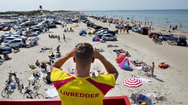 Tryg-ejer deler 1 mia. kr. ud til medlemmer 