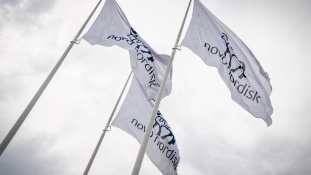 Arkivfoto: Mads Claus Rasmussen/Ritzau Scanpix