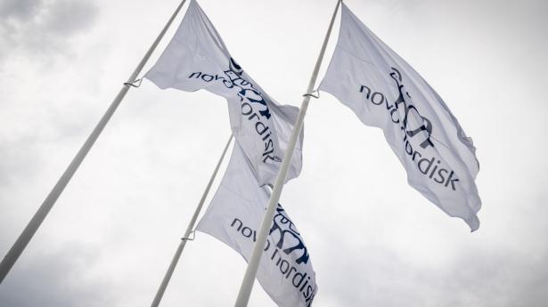 Novo Nordisk har indgået et forskningssamarbejde til en værdi af 1,75 mia. kr. Arkivfoto: Mads Claus Rasmussen/Ritzau Scanpix