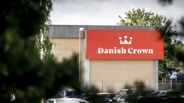 Danish Crown er blevet sagsøgt på grund af deres kommunikation om klimatiltag. Arkivfoto: Mads Claus Rasmussen/Ritzau Scanpix