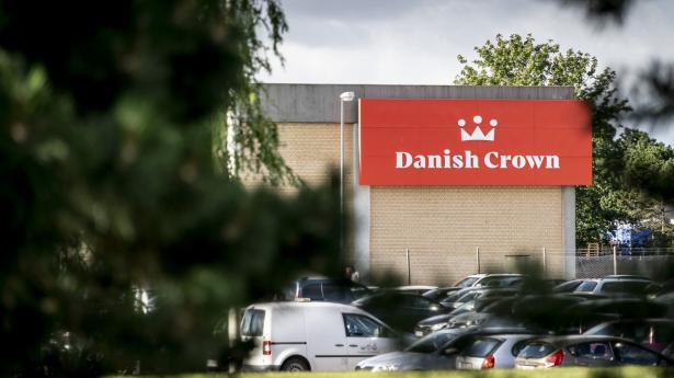 Arkivfoto: Mads Claus Rasmussen/Ritzau Scanpix