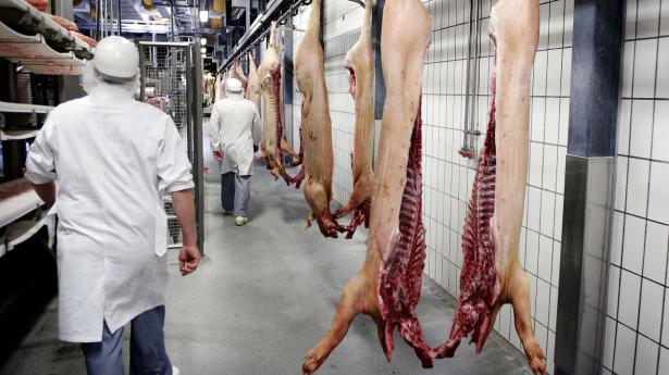 Medarbejderne på Danish Crown skal testes systematisk. Arkivfoto: Liselotte Sabroe/Ritzau Scanpix