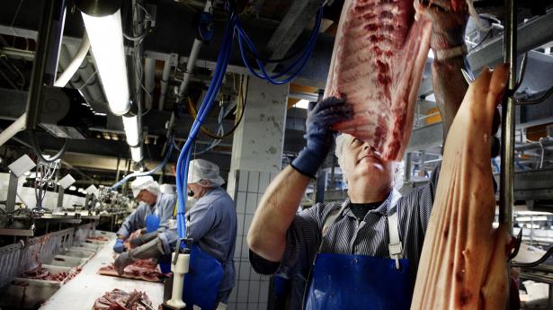 Prisen på svinekød må sættes ned igen. Der er ubalance i markedet. Arkivfoto: Liselotte Sabroe/Ritzau Scanpix