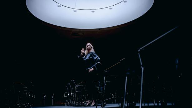 Landbrugets organisering er præget af, at alle skal høres og alle skal have en post. Det mener tidligere kommunikationschef i Danish Crown, der var vidne til stiftelsen af L&F. Arkivfoto: Steven Achiam