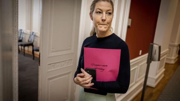 Arkivfoto: Mads Claus Rasmussen/Ritzau Scanpix