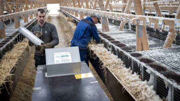 Foto: Mads Claus Rasmussen/Ritzau Scanpix