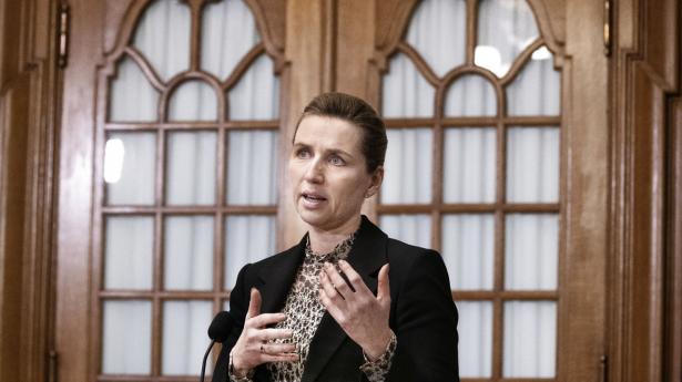 Torsdag afleverer minkkommissionen sin rapport. Arkivfoto: Liselotte Sabroe/Ritzau Scanpix