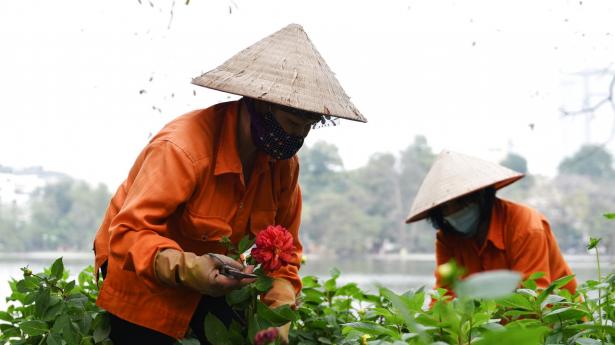 I Vietnam betyder et nyt covid-19-udbrud i Hanoi, at landarbejdere også bærer mundbind. Foto: Thanh Hue/Reuters/Ritzau Scanpix