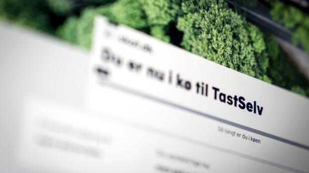 "Staten var den første kunde for Queue-it og var derfor fødselshjælper til en virksomhed, der i dag er blevet en global succes med ca. 100 medarbejdere," skriver Esben Gadsbøll, bestyrelsesformand, Brancheforening for Tech Startups. Arkivfoto: Mads Claus Rasmussen/Ritzau Scanpix