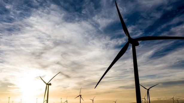 Den grønne energiomstilling er blandt de mest populære temaer, viser rapport fra Morningstar. Arkivfoto: Ritzau/Scanpix, Martin Bernetti, AFP.