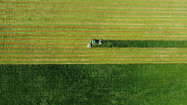 I fremtiden skal landmanden ikke kun have penge, når høsten er i hus, men løbende i form af CO2-kvotebetaling, vurderer Morten Springborg, temaspecialist, C Worldwide. Arkivfoto: Carl Recine/Ritzau Scanpix