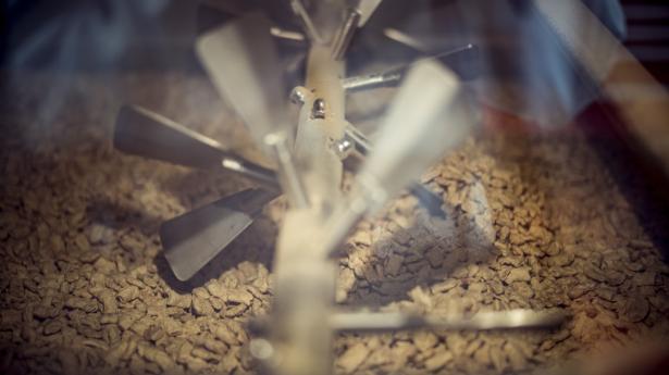 Planteprotein kommer fra forskellige kilder. Blandt andet hestebønner og ærter her hos producenten Organic Plant Protein. Foto: Michael Drost-Hansen