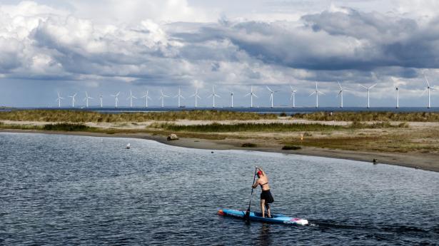 Rejsen mod et mindre klimabelastende samfund bør først og fremmest foregå ved at investere stort i vedvarende energi. Her giver investeringer nemlig den største klimaeffekt pr. krone, peger ny rapport på. Arkivfoto: Christian Lindgren/Ritzau Scanpix