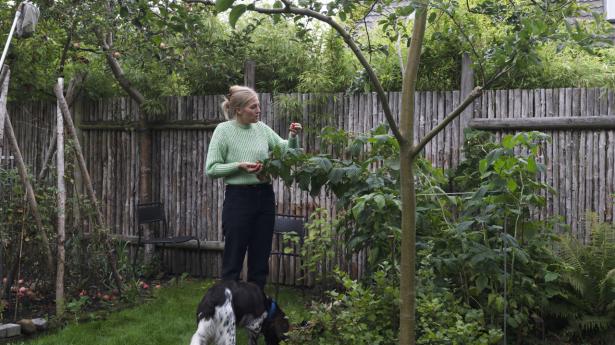 Frederikke Legaard, der er aktuel med en ny kogebog, finder gerne ingredienser i sine forældres have med hunden Otto ved sin side. Foto: Anne-Dorthe Søgaard Jensen