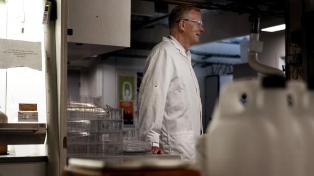 Roeland Baan har været adm. direktør for Haldor Topsøe siden juni 2020. Foto: Nina Pilgaard