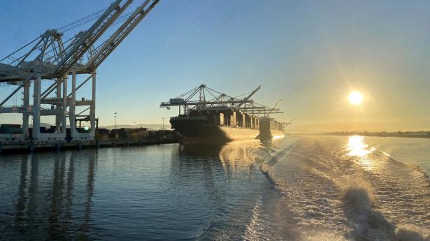 Globale shippingfirmaer leverede en suveræn rekordindtjening i 2021. Mange havde ventet faldende fragtrater i år, men aktuelt forbliver de høje. Foto: Ann Saphir/Reuters/Ritzau Scanpix