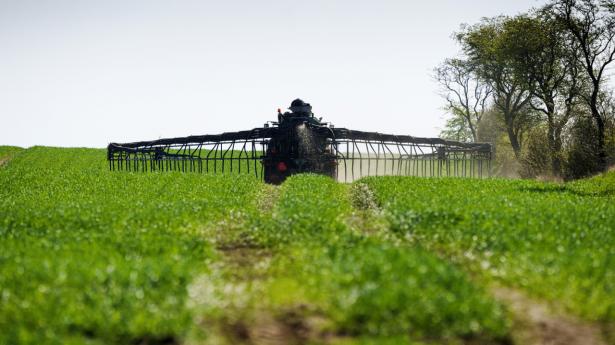 Virksomheden Biophero producerer insektferomoner, som kan beskytte planter uden negativ effekt på miljø og biodiversitet. Arkivfoto: Bo Amstrup / Ritzau Scanpix/Ritzau Scanpix