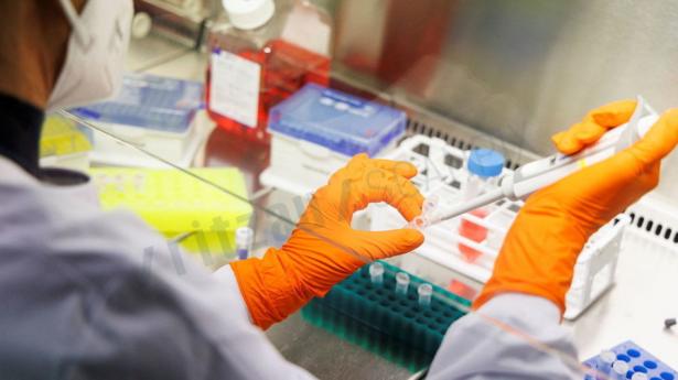 En medarbejder på Bavarian Nordics laboratorier nær München i Tyskland Foto: REUTERS/Lukas Barth