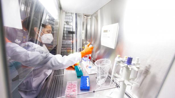 Arkivfoto: Lukas Barth/Reuters/Ritzau Scanpix