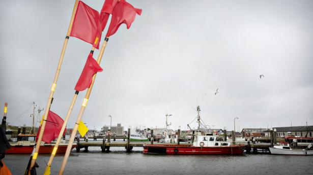 RWE skal i den lille havn lave drifts- og vedligeholdelsescenter for havmølleparkend Thor. Norsea er allerede klar til som underleverandør at tilbyde sine ydeIser under såvel etablering som den senere drift af offshoreanlægget. Foto: Astrid Dalum