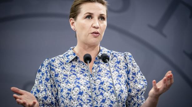 Udmeldingerne til minkavlerne var “groft vildledende,” vurderer kommission ifølge Weekendavisen. Arkivfoto: Mads Claus Rasmussen/Ritzau Scanpix