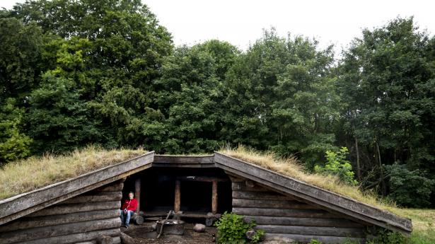 I de kommende år skal antallet af offentlige sheltere i Danmark fordobles til omkring 600 på baggrund af en milliondonation fra A.P. Møller Fonden. Arkivfoto: Liselotte Sabroe/Ritzau Scanpix