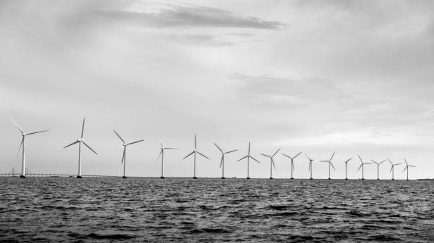 Ingen danske virksomheder har fået tildelt midler fra EU's Innovationsfrond - Sverige har syv med en samlet støtte på over 500 mio. euro. 
Arkivfoto: Simon Fals