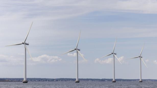 Lukningen af åben-dør-ordningen er kritisk for den grønne omstilling, lyder det fra Klimarådet. Foto: Simon Fals