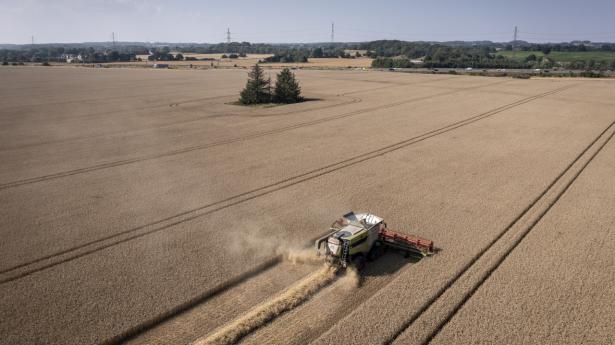 Banker ruster sig mod tab på landbrugsafgift