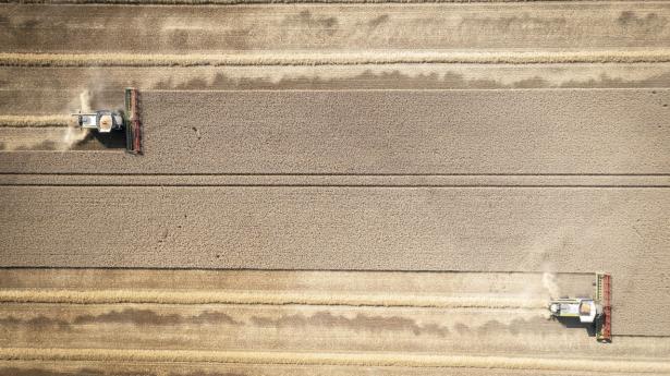 Debat | Venstre-MEP: CO2-afgift på landbrug er tudetosset, klimanationalisme må ikke trumfe fødevaresikkerhed