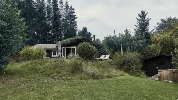 Den sorte bjælkehytte med hvide vinduer er svøbt i højt græs, bregner voksende på taget og vildtvoksende rosenbuske, som om sommeren vælter lyserøde roser ud over taget og terrassen.