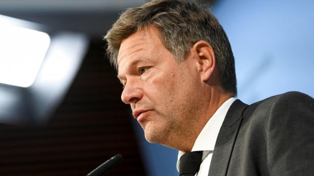 Tysklands vicekansler, Robert Habeck. Arkivfoto: REUTERS/Annegret Hilse