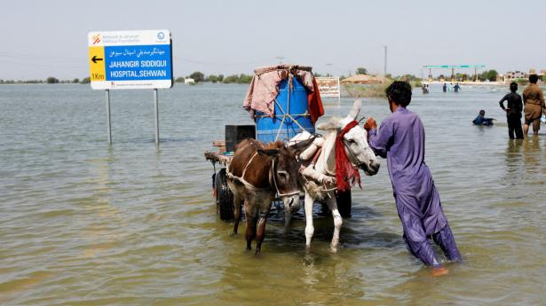 Massiv monsunregn har i ugevis betydet, at en tredjedel af Pakistan har været oversvømmet. Foto: Akhtar Soomro/Reuters/Ritzau Scanpix