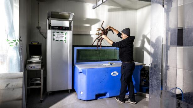 Fiskerikajen sælger fisk og skaldyr til Noma, Geranium og andre toprestauranter. Foto: Simon Fals
