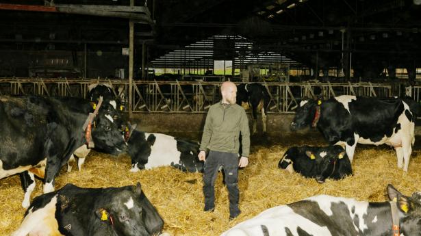 Claus Fenger er selvstændig landmand på femte år og har bl.a. 200 kameraer sat op i sine stalde. De måler køernes fodereffektivitet og giver markante besparelser på forbruget. Men der er få muligheder for at begrænse dyrenes klimaaftryk, og overvågningen giver langtfra de nødvendige besparelser til, at han kan overleve en høj CO2-afgift, lyder det. Foto: Tobias Nicolai