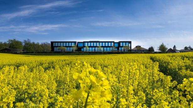Danske Andelskassers Banks hovedkontor i Hammershøj PR-foto