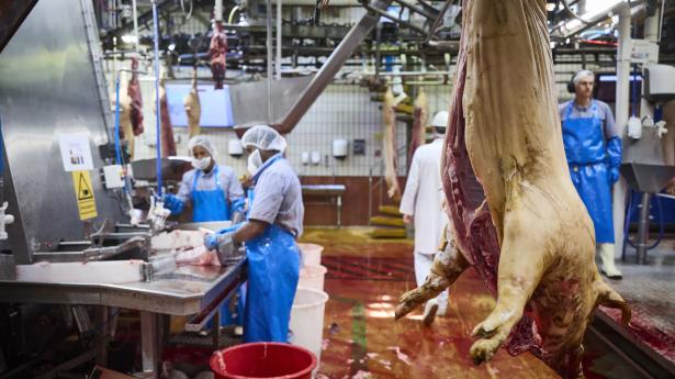 Fredag d. 23 juni lukker slagteriet i Sæby efter 112 år. 
Foto: Claus Bjørn Larsen