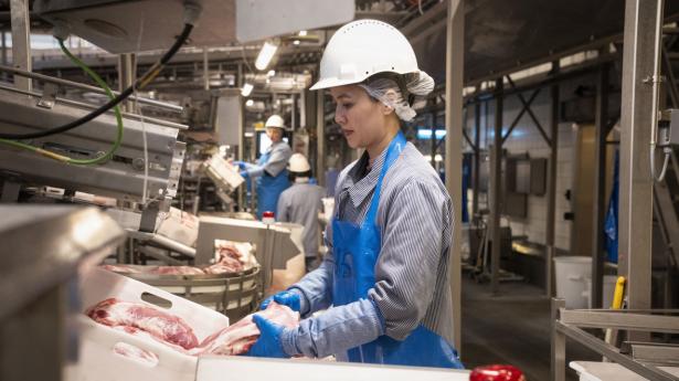 Dansk erhvervsliv skal have samme muligheder for at se sig rundt efter udenlandsk arbejdskraft. Arkivfoto: Bo Amstrup/Ritzau Scanpix