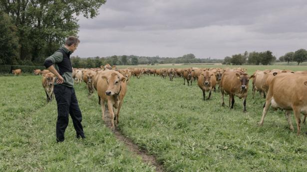 Vi har meget at vinde på at udvikle vores landbrug, skriver Holm og Revsgaard Nielsen. Foto: Rebecca Helene Hoffmann