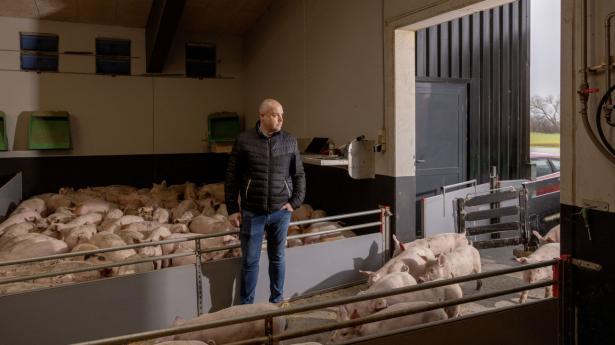 Thomas Fugl fra Fugl I/S omsatte 1,6 mio. smågrise sidste år. Nu presses hans branche af nye krav. Foto: Simon Fals