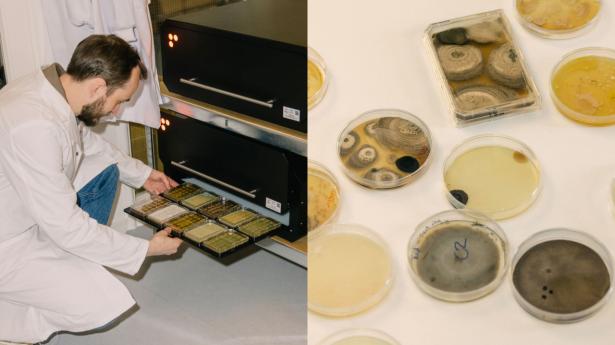 Reshape, der har Carl-Emil Grøn som medstifter, bygger laboratorieudstyr, der kan automatisere forskning og dermed accelerere forsøg og resultater. Foto: Rebecca Helene Hoffmann