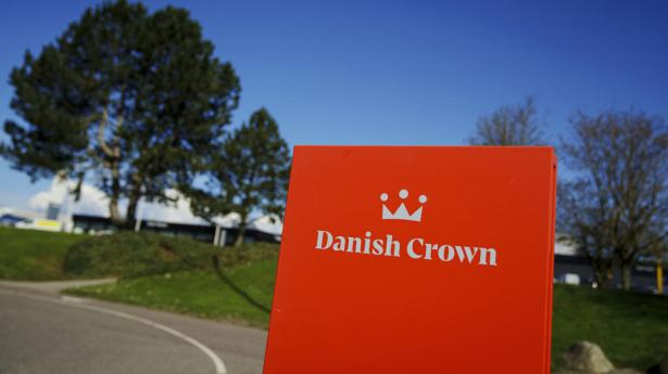 Danish Crown betaler for ringe for slagtegrise, og der skal ske noget i selskabet hurtigt, mener Danske Svineprodudenter. Arkivfoto: : Liselotte Sabroe/Ritzau Scanpix