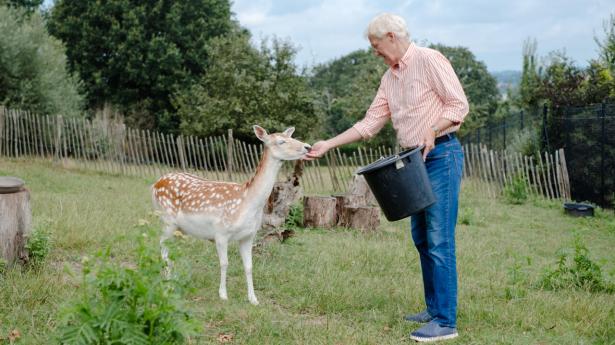 Der er andet i livet end fodbold. Morten Olsen har fået tid til at passe sine dyr i haven tæt på Bruxelles. Foto: Morgane Delfosse