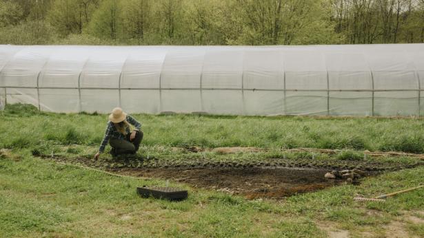 “Vi kan ikke redde klimaet og fastholde status quo i landbruget på samme tid”