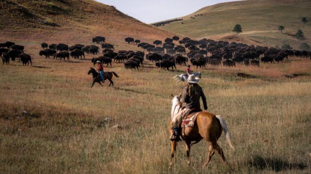 I South Dakota findes en af de sidste tilbageværende traditioner fra det vilde vest