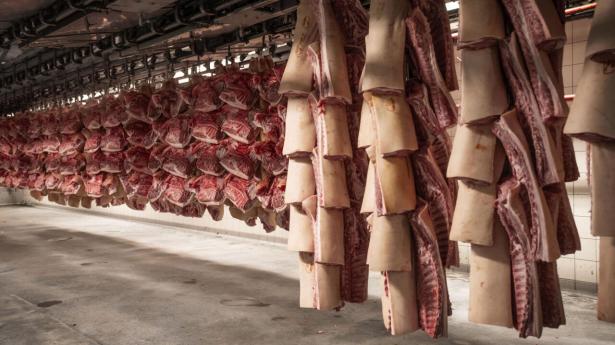 Mens Danish Crown den seneste tid har måttet skære forretningen til, fyre medarbejdere og lukke slagterier, forventer Tican at ansætte nye medarbejdere i det følgende år. (Arkivfoto).