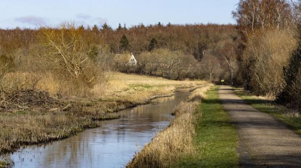 De danske åer har set bedre tider, men med en ny opdateret vandområdeplan vil regeringen forsøge at få dem og andre vandområder på rette vej igen. Arkivfoto: Søren Breiting/Ritzau Scanpix
