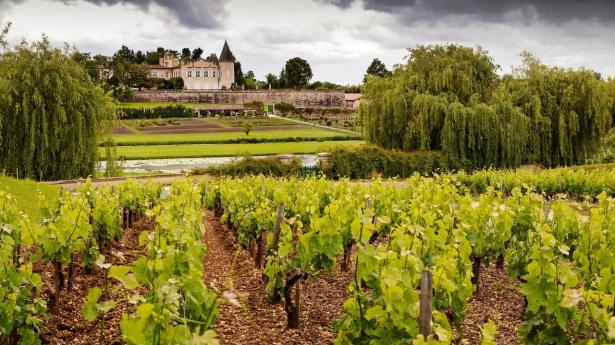 Chateau Lafite Rothschild – et af Frankrigs fornemste – er blevet grønnere i de seneste år.