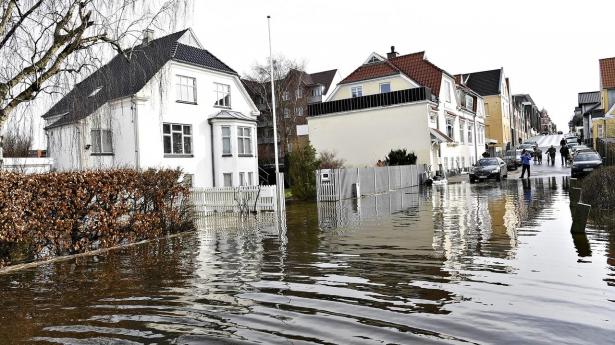 “Det er vigtigt for både boligejere og samfund, at der kommer en økonomisk håndsrækning til at tackle det,” skriver indlæggets afsendere. Arkivfoto: Michael Drost-Hansen/Ritzau Scanpix