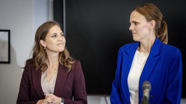 Sidste år oprettede regeringen en AI-taskforce, og i år skal den for alvor i gang med sit arbejde.